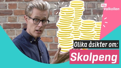 Olika åsikter om skolpeng