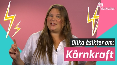 Olika åsikter om kärnkraft