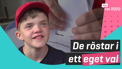 Klassen har skapat egna partier