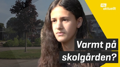 De skapar mer skugga