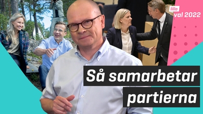 Hur samarbetar riksdagspartierna?