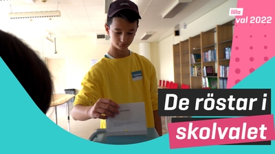 De röstar i skolvalet