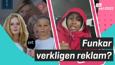 Fungerar partiernas valreklam?