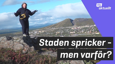 Varför flyttar man en stad?