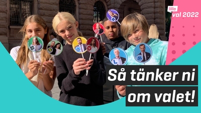 Era tankar om valet!