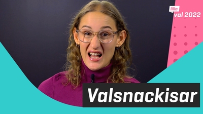 Några snackisar från valet
