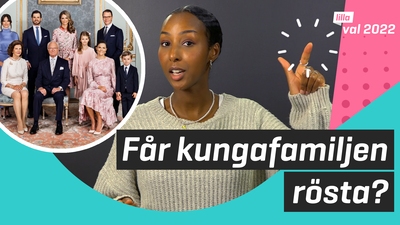 Frågor om röstning