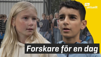 De hjälper forskare att samla plast