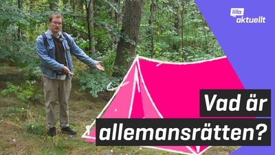 Vad är allemansrätten?