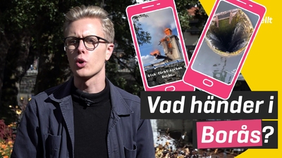 Vad händer i Borås?
