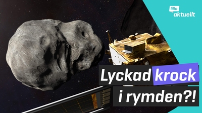 Lyckad krock med asteroid