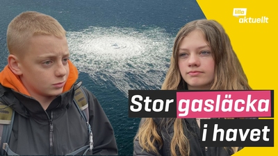 Varför pratas det om Nordstream?