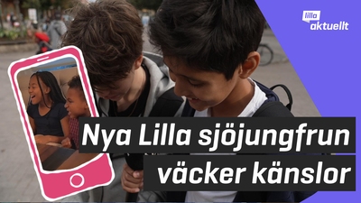 Vad är representation?
