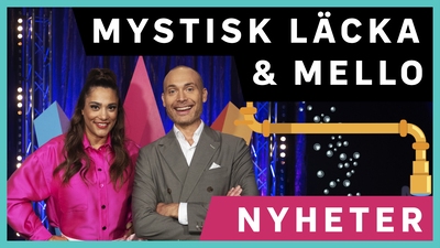 Dags för veckans nyhetsquiz!