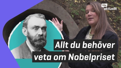 Vad är Nobelpriset?