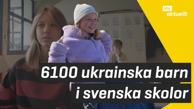Fyra av fem ukrainska barn i Sverige går i svensk skola