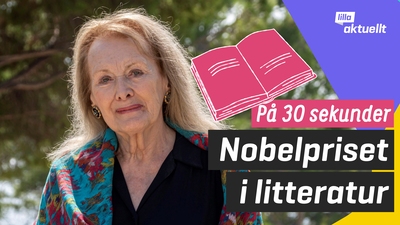 Nobelpriset i litteratur på 30 sekunder