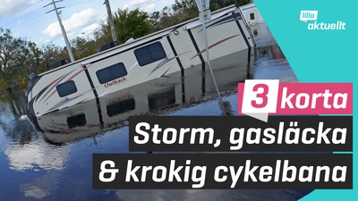 Nord stream, storm i Florida och vingliga cykellinjer