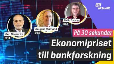 Ekonomipriset till Alfred Nobels minne