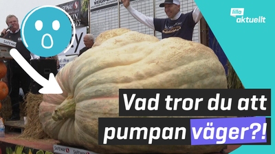 Gigantisk pumpa