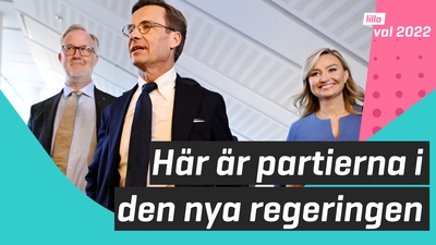 De här partierna ska bilda regering