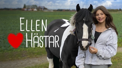 Trailer: Ellen hjärta hästar nytt