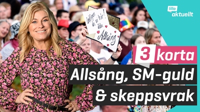 SM-guld, skeppsvrak och ny programledadare på Skansen