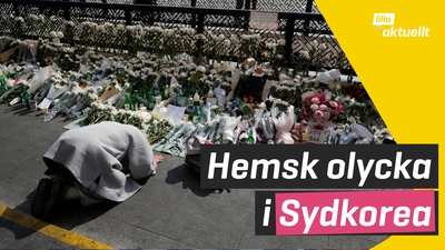 Hemsk trängselolycka i Sydkorea