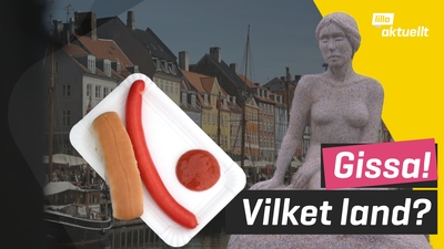 Gissa landet