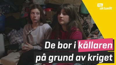 Familjen bor i sin källare