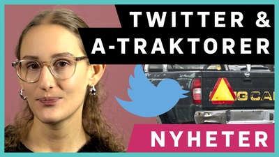 Dags att testa dina kunskaper i veckans quiz!