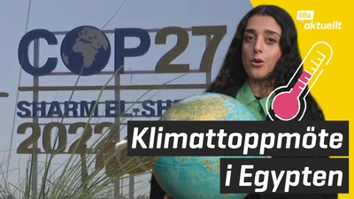 Stort klimattoppmöte i Egypten