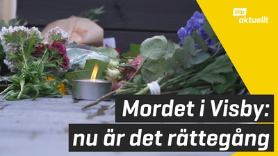 Nu börjar rättegången mot Theodor Engström