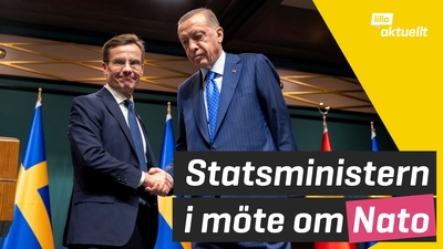 Statsministern har träffat Turkiets ledare