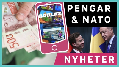 Dags att testa dina kunskaper i veckans quiz!