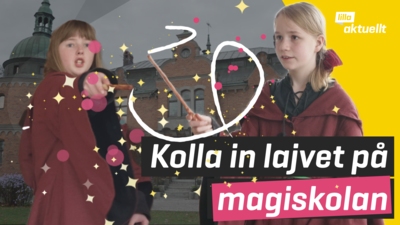 De är på ett magiskt lajv