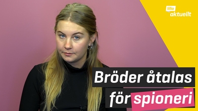 Bröder misstänks ha spionerat