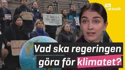 Vad ska regeringen göra för klimatet?