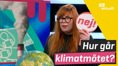 Idag avslutas förhandlingarna på klimattoppmötet