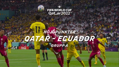 Grupp A: Qatar-Ecuador 20/11