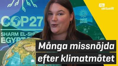 Många missnöjda efter klimatmötet