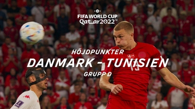 Grupp D: Danmark-Tunisien 22/11