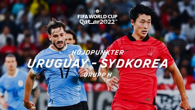 Grupp H: Uruguay-Sydkorea 24/11