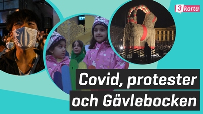Covid-19, Iran-protester och Gävlebocken