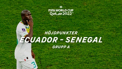 Grupp A: Ecuador-Senegal 29/11