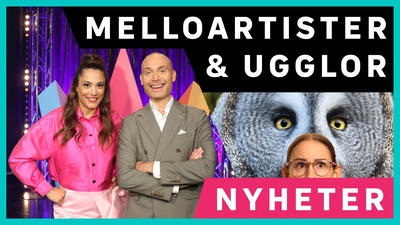 Nu kan du göra vårt nyhetsquiz: vecka 48