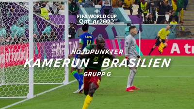 Grupp G: Kamerun-Brasilien 2/12