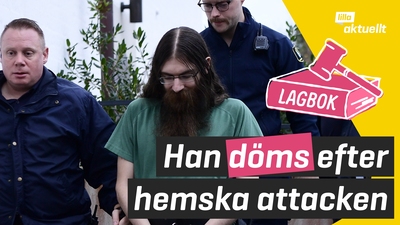 Han döms efter hemska attacken