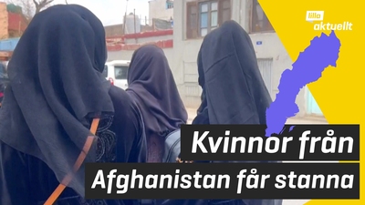 Alla kvinnor från Afghanistan får skydd i Sverige