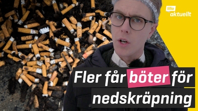 Fler får skräpböter
